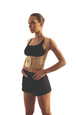 Posturvest BA 313-T